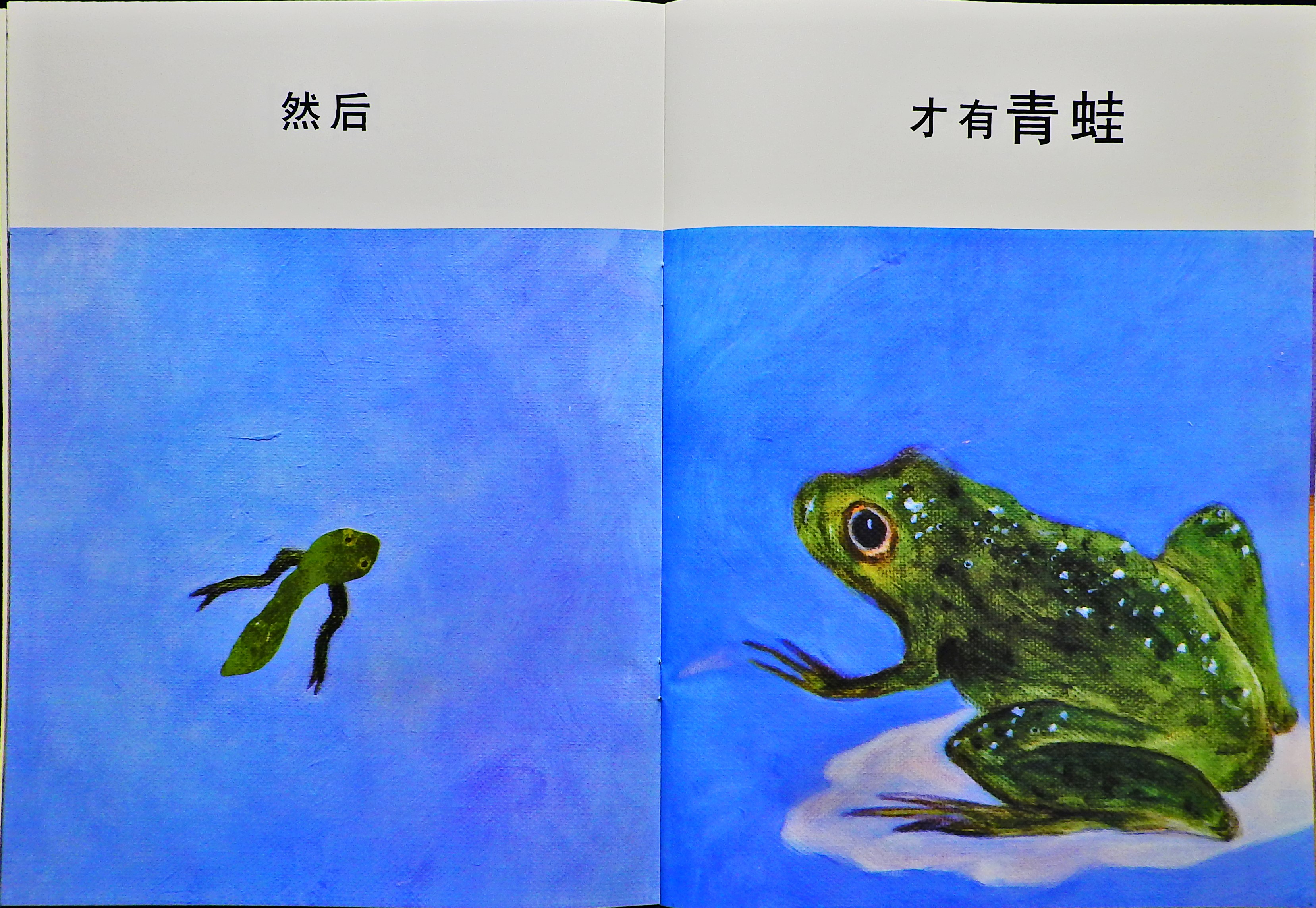 先有蛋 才有鸡 (07),绘本,绘本故事,绘本阅读,故事书,童书,图画书,课外阅读